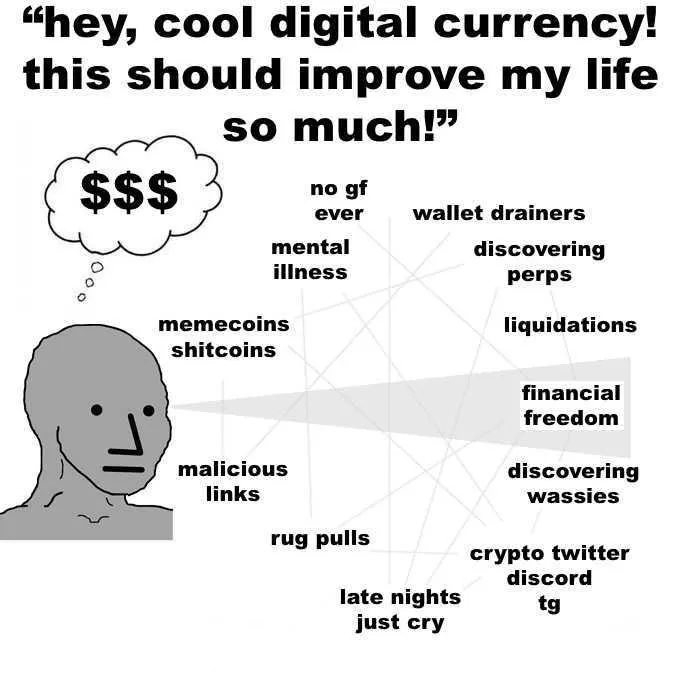 Meme of a gray cartoon face saying hey, cool digital currency, this should improve my life so much. It sees only financial freedom, missing rug pulls, wallet drainers, liquidations, memecoins, malicious links and late nights crying.