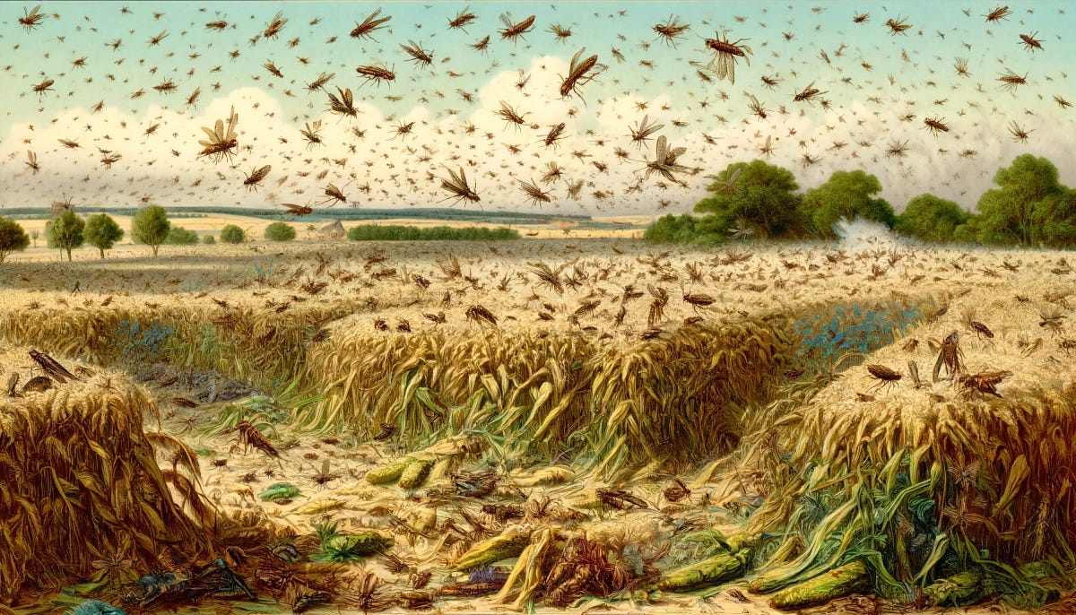 Live View From The xGov Farm